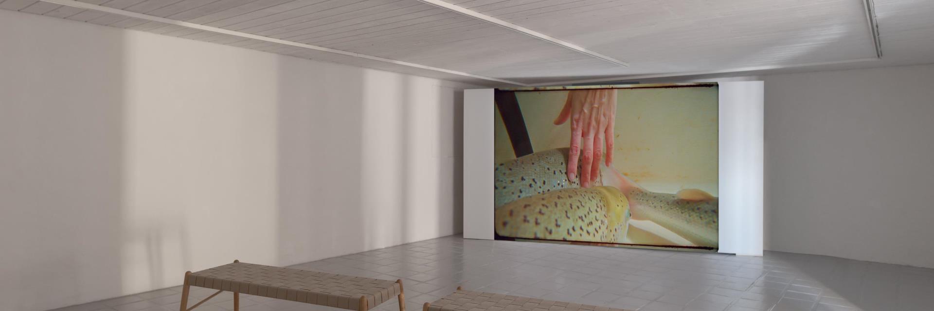 installasjonsbilde av verket "The Bonding" av Michelle-Marie Letelier