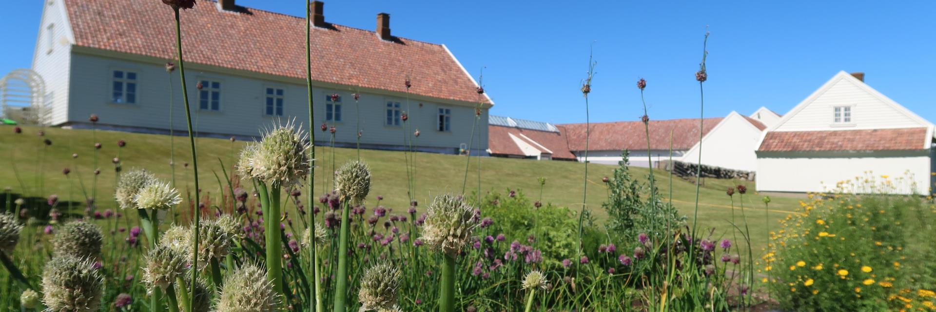 Bilete av Hå gamle prestegard sett frå grønsakshagen