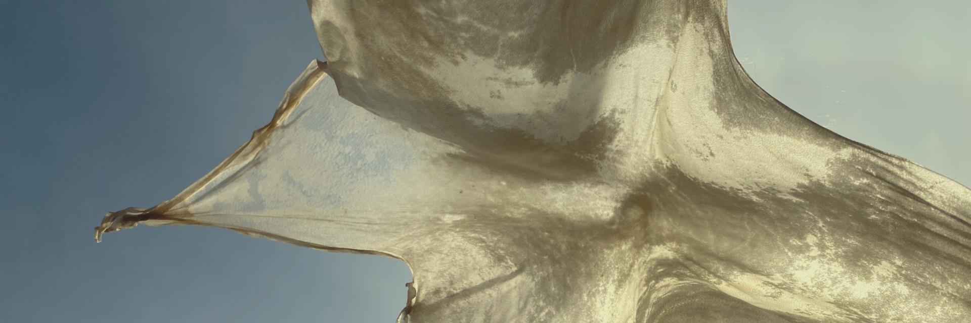 Thale Vangen - Langt fra himmelen