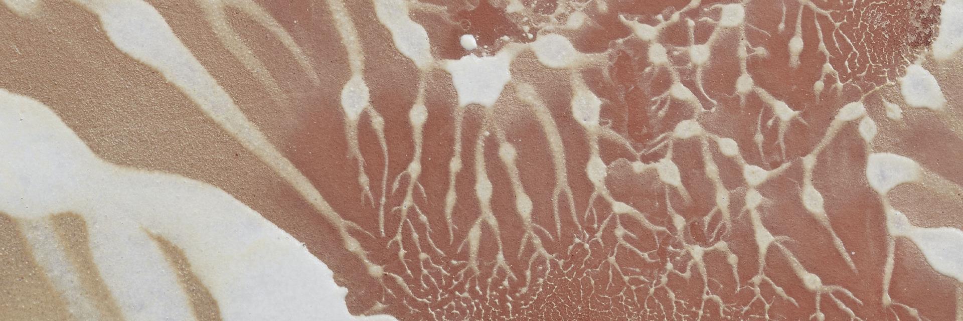 Detaljfoto av keramikk av Nina Malterud